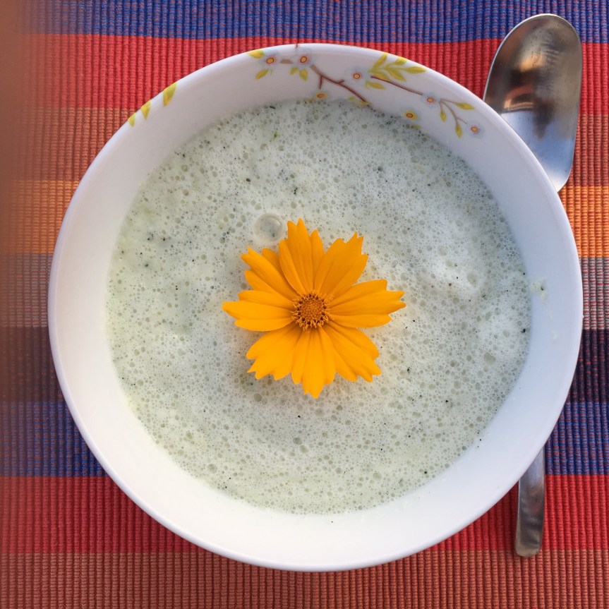 Geeistes Gurkensüppchen