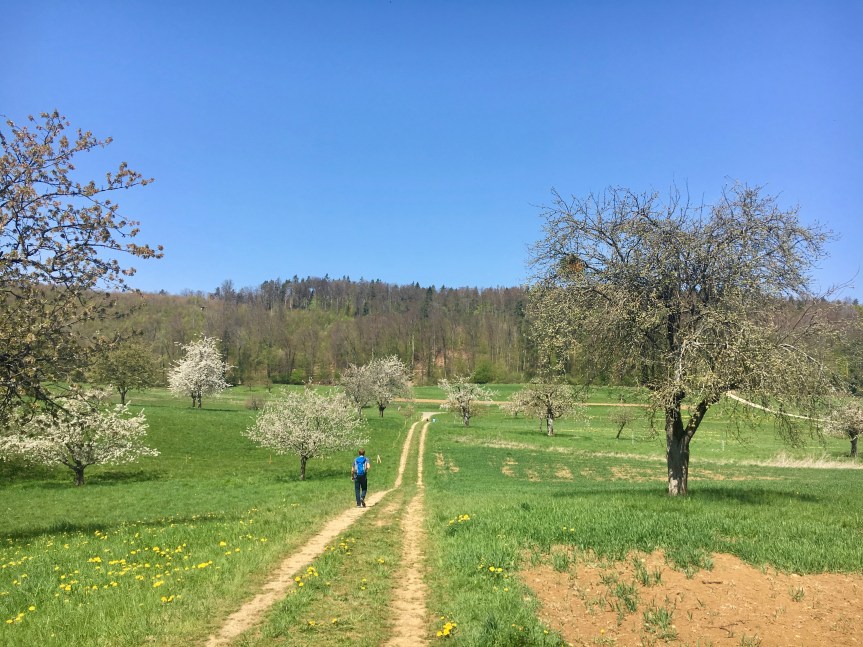 Wanderung im Baselbiet